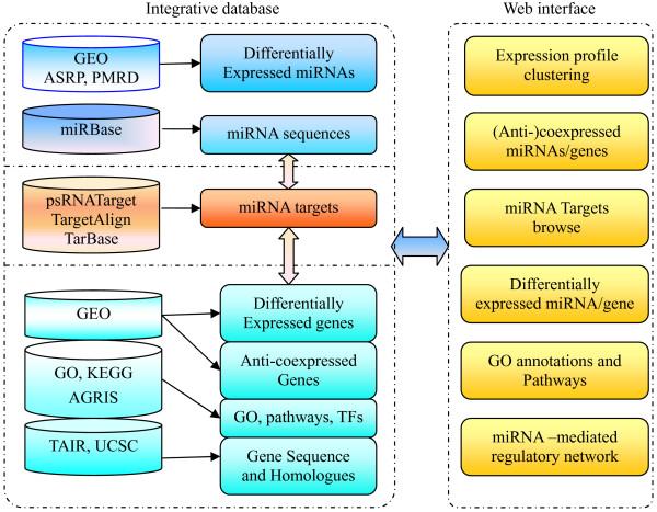 https://cdn.ncbi.nlm.nih.gov/pmc/blobs/1952/3489716/0f24d894d6c1/1471-2229-12-68-1.jpg