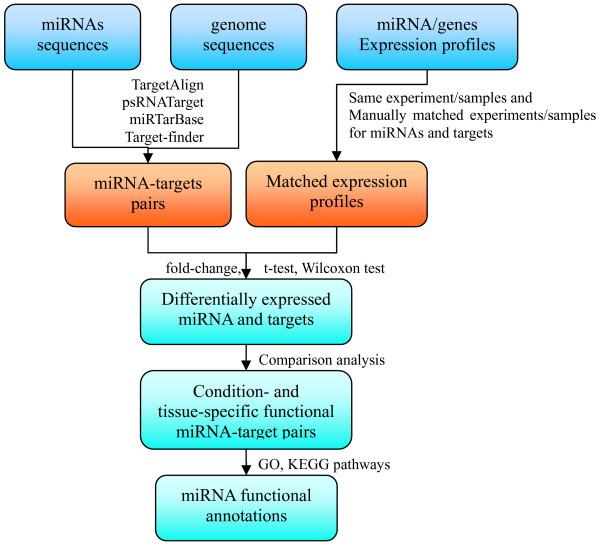 https://cdn.ncbi.nlm.nih.gov/pmc/blobs/1952/3489716/1102696108cd/1471-2229-12-68-2.jpg