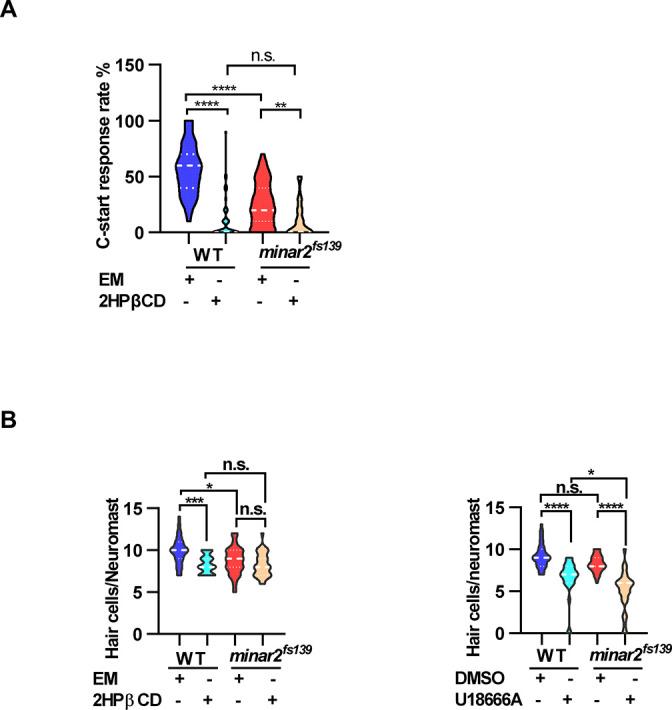 https://cdn.ncbi.nlm.nih.gov/pmc/blobs/1954/9714970/e512474418df/elife-80865-fig5-figsupp1.jpg