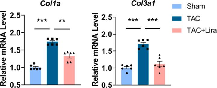 https://cdn.ncbi.nlm.nih.gov/pmc/blobs/1955/11168427/629c6e45c0b5/mmcfigs3.jpg