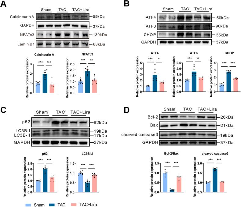 https://cdn.ncbi.nlm.nih.gov/pmc/blobs/1955/11168427/92f725062528/gr3.jpg
