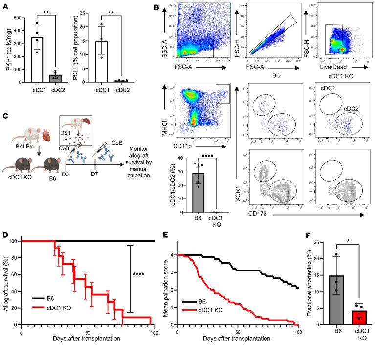 https://cdn.ncbi.nlm.nih.gov/pmc/blobs/1955/12435855/6e3ac848a33f/jci-135-178960-g062.jpg