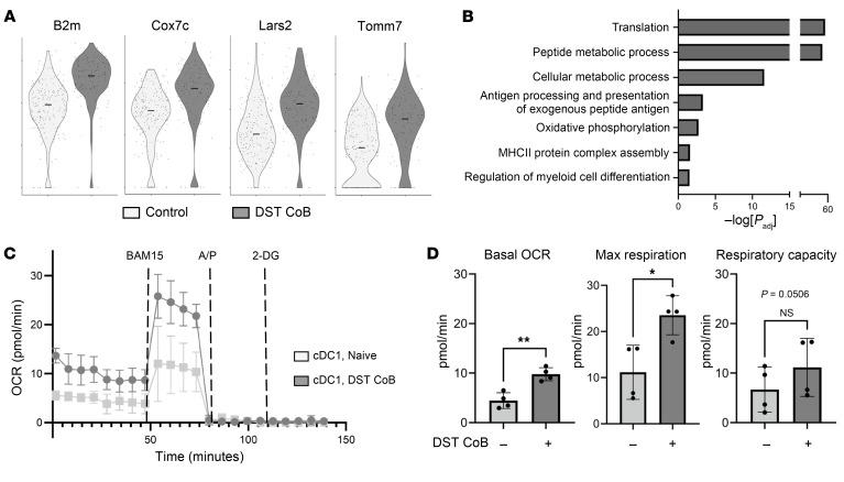 https://cdn.ncbi.nlm.nih.gov/pmc/blobs/1955/12435855/c2a03649ad21/jci-135-178960-g068.jpg