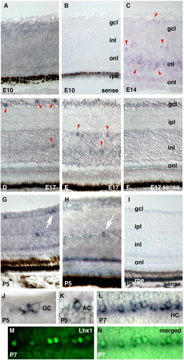 https://cdn.ncbi.nlm.nih.gov/pmc/blobs/1956/5115664/4391a27924a3/pone.0163925.g006.jpg