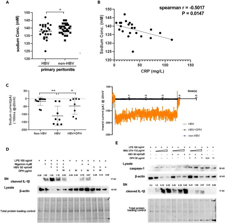 https://cdn.ncbi.nlm.nih.gov/pmc/blobs/1957/10819783/d24de12c18c1/gr7.jpg