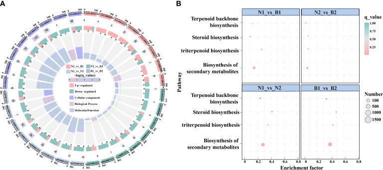 https://cdn.ncbi.nlm.nih.gov/pmc/blobs/1958/9627512/3e12f7200c49/fpls-13-964558-g002.jpg