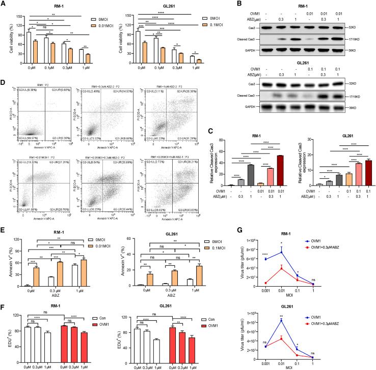 https://cdn.ncbi.nlm.nih.gov/pmc/blobs/195b/11137524/ba9d2ee80951/gr1.jpg