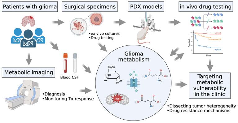 https://cdn.ncbi.nlm.nih.gov/pmc/blobs/195c/10138713/4edfdf22bdf3/ijms-24-07348-g003.jpg