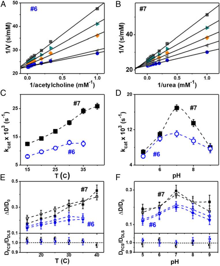 https://cdn.ncbi.nlm.nih.gov/pmc/blobs/195c/7703626/3be3bbaca03f/pnas.2019810117fig04.jpg