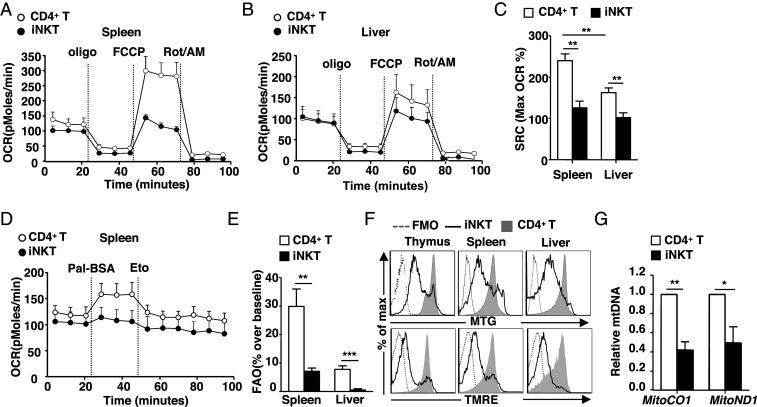 https://cdn.ncbi.nlm.nih.gov/pmc/blobs/195c/8020658/c1b5439116e9/pnas.2021385118fig01.jpg