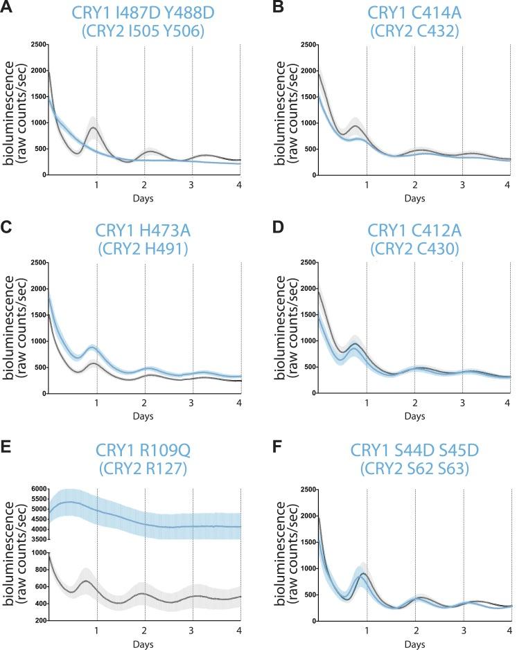https://cdn.ncbi.nlm.nih.gov/pmc/blobs/195d/4157330/98b5e9726fb6/elife03674f005.jpg