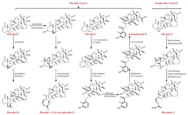 https://cdn.ncbi.nlm.nih.gov/pmc/blobs/195d/8840080/071e580bb3ed/molecules-27-00695-g003.jpg