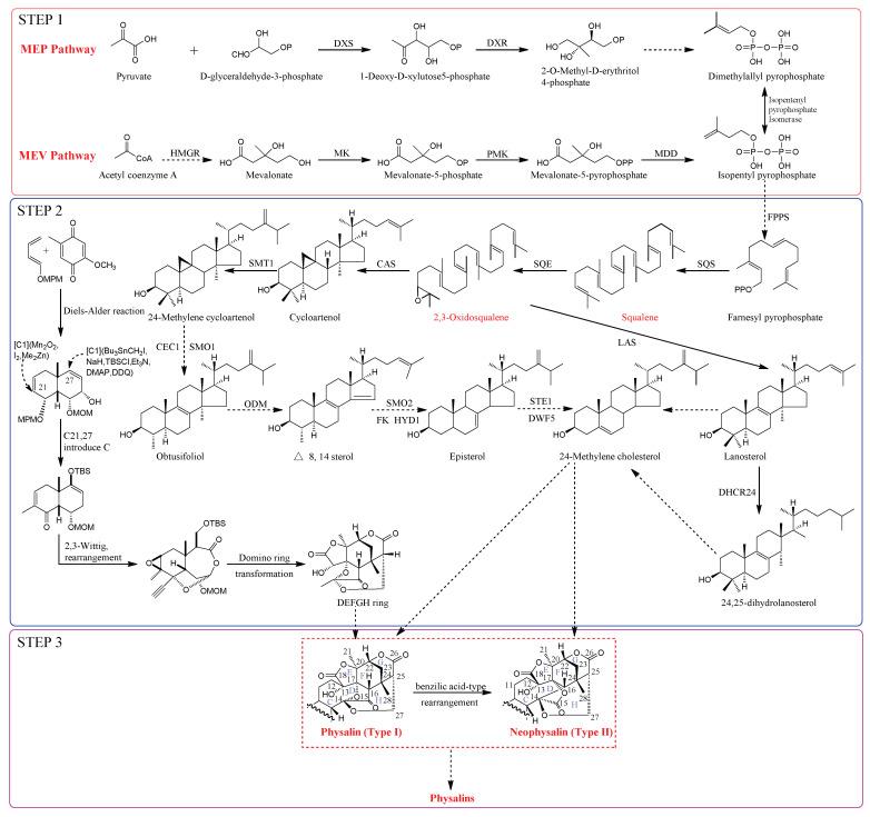 https://cdn.ncbi.nlm.nih.gov/pmc/blobs/195d/8840080/35b8cf45ae2d/molecules-27-00695-g002.jpg