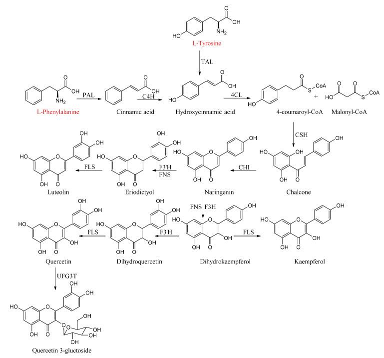 https://cdn.ncbi.nlm.nih.gov/pmc/blobs/195d/8840080/3d3b19be0785/molecules-27-00695-g004.jpg
