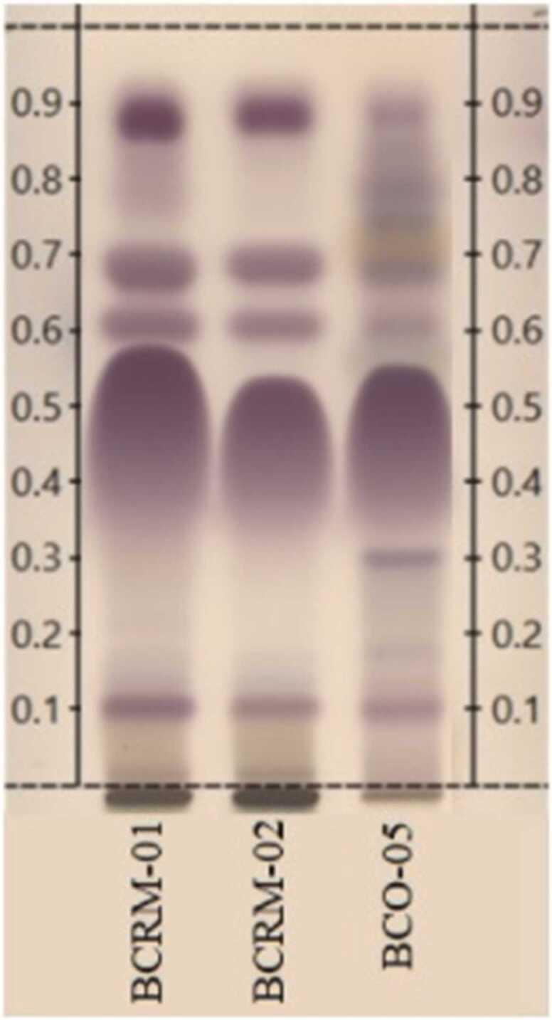https://cdn.ncbi.nlm.nih.gov/pmc/blobs/195e/9742867/dc39d696e40f/gr3.jpg