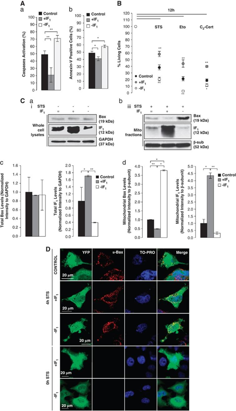 https://cdn.ncbi.nlm.nih.gov/pmc/blobs/195f/3619234/3a033c8729c3/cdd2012163f3.jpg