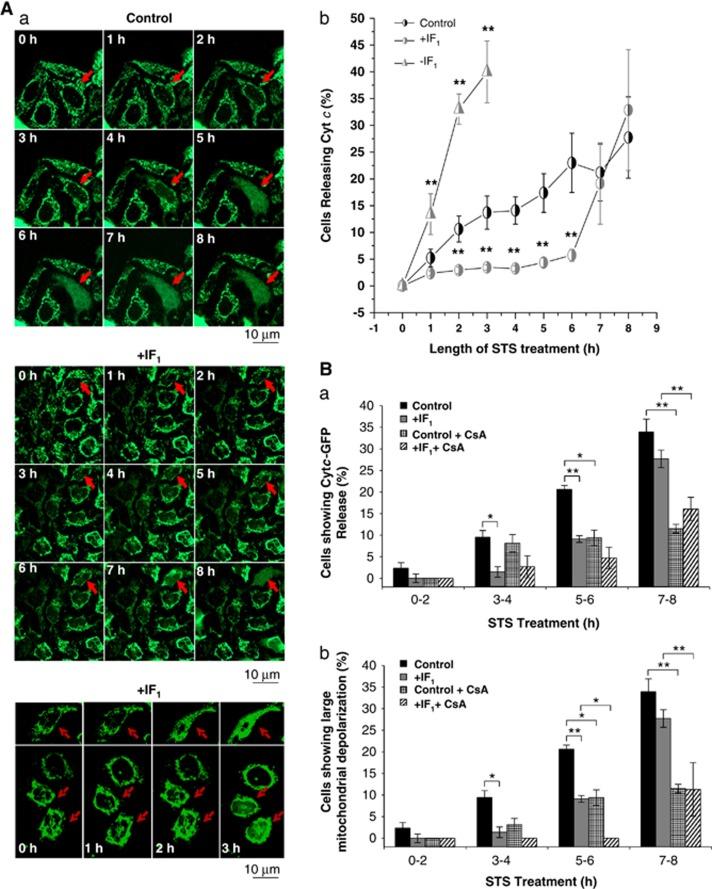 https://cdn.ncbi.nlm.nih.gov/pmc/blobs/195f/3619234/d0db3b8aa9dc/cdd2012163f2.jpg