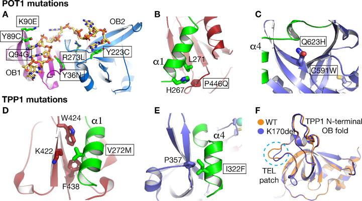 https://cdn.ncbi.nlm.nih.gov/pmc/blobs/1960/7385035/4287d5eaa13b/gr3.jpg