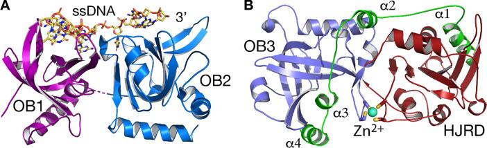 https://cdn.ncbi.nlm.nih.gov/pmc/blobs/1960/7385035/8cb413b5a797/gr2.jpg