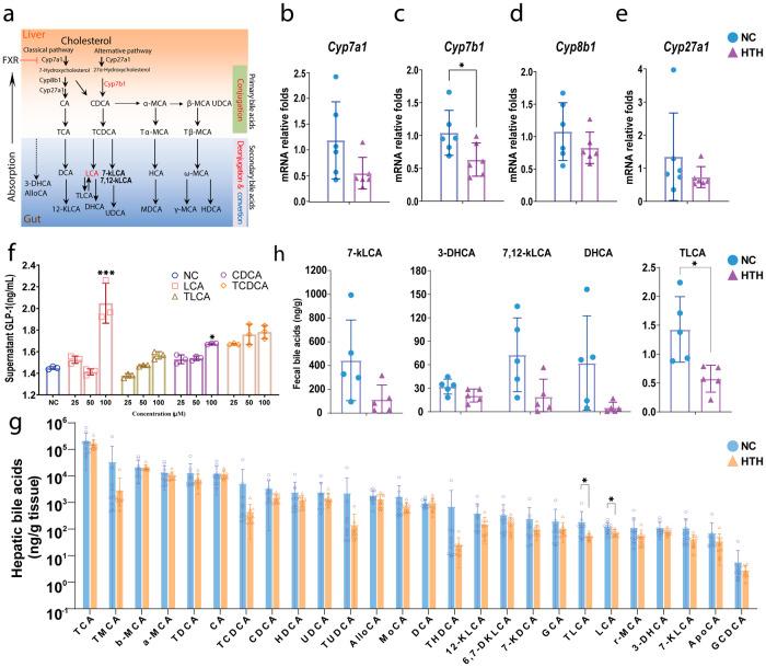 https://cdn.ncbi.nlm.nih.gov/pmc/blobs/1961/11024098/bbddc206eb36/42003_2024_6158_Fig4_HTML.jpg