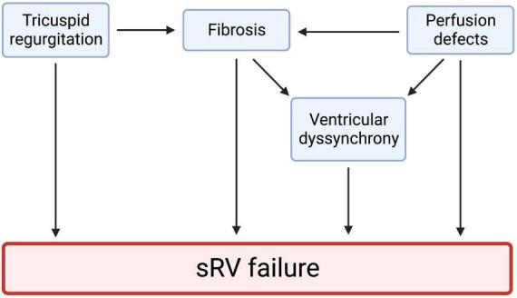 https://cdn.ncbi.nlm.nih.gov/pmc/blobs/1964/9871570/021120ea3329/fcvm-09-1064196-g001.jpg