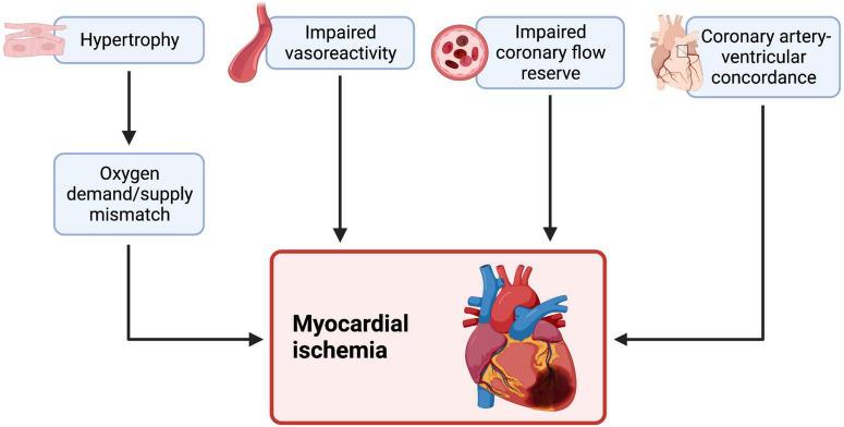 https://cdn.ncbi.nlm.nih.gov/pmc/blobs/1964/9871570/1c74bcf27b86/fcvm-09-1064196-g003.jpg