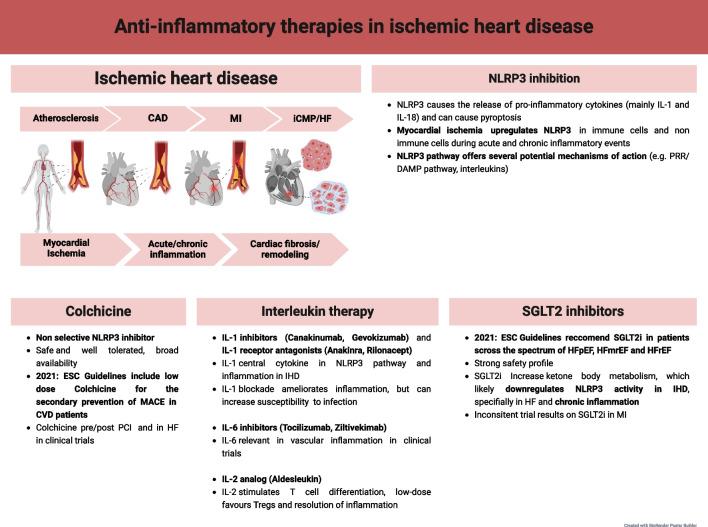 https://cdn.ncbi.nlm.nih.gov/pmc/blobs/1967/11839821/71cda84968f4/11886_2025_2211_Fig1_HTML.jpg