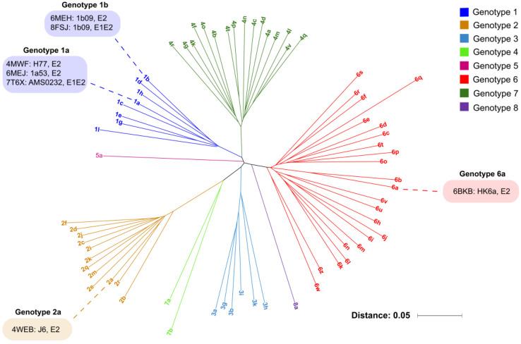 https://cdn.ncbi.nlm.nih.gov/pmc/blobs/1968/11125608/0b96fc00e710/viruses-16-00803-g001.jpg