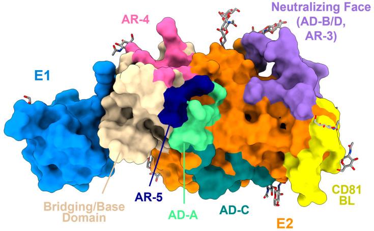https://cdn.ncbi.nlm.nih.gov/pmc/blobs/1968/11125608/4fd9ee267874/viruses-16-00803-g002.jpg