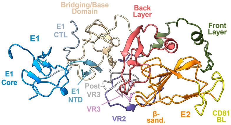 https://cdn.ncbi.nlm.nih.gov/pmc/blobs/1968/11125608/5eab5b6281af/viruses-16-00803-g003.jpg