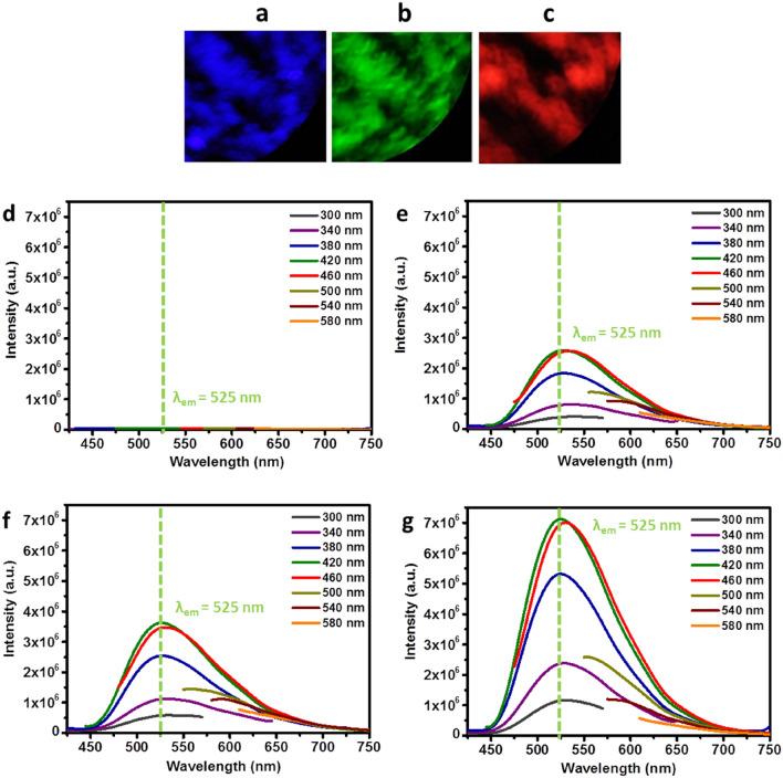 https://cdn.ncbi.nlm.nih.gov/pmc/blobs/196a/8131706/2b2802ff6928/41598_2021_89984_Fig6_HTML.jpg