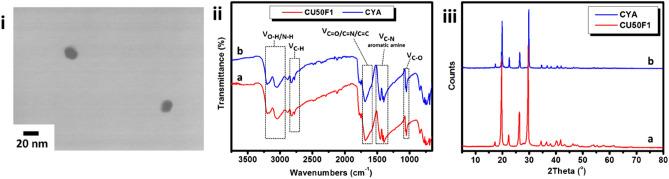 https://cdn.ncbi.nlm.nih.gov/pmc/blobs/196a/8131706/cc4781ec3d4b/41598_2021_89984_Fig3_HTML.jpg