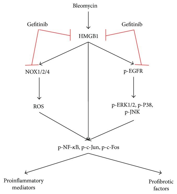 https://cdn.ncbi.nlm.nih.gov/pmc/blobs/196b/5924979/e14262270d6a/OMCL2018-8249693.010.jpg