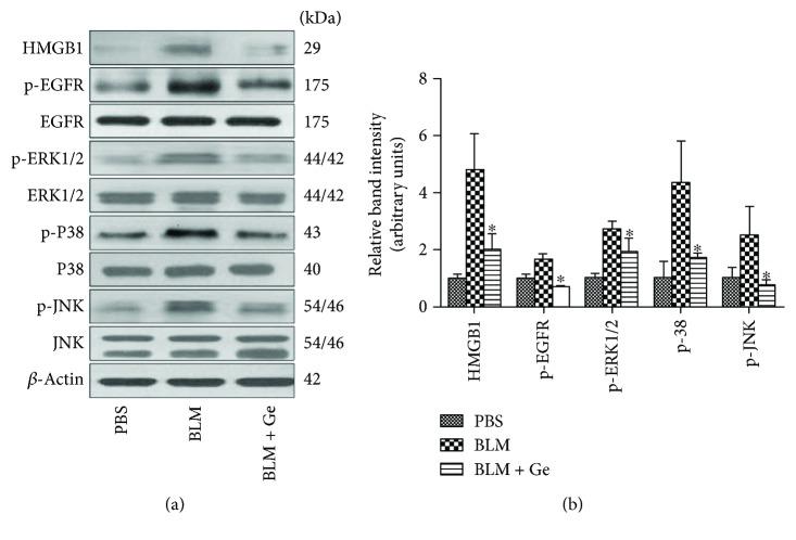 https://cdn.ncbi.nlm.nih.gov/pmc/blobs/196b/5924979/e8484c412faa/OMCL2018-8249693.008.jpg