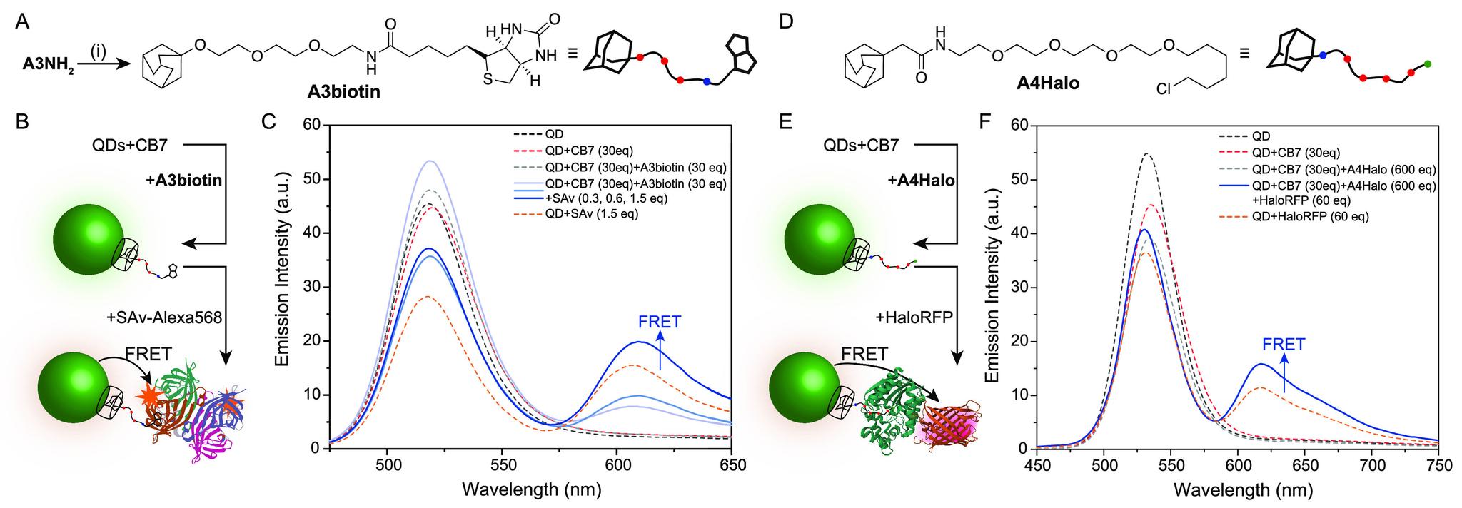 https://cdn.ncbi.nlm.nih.gov/pmc/blobs/196c/10655248/82adc0e8cf4b/nn3c06601_0004.jpg