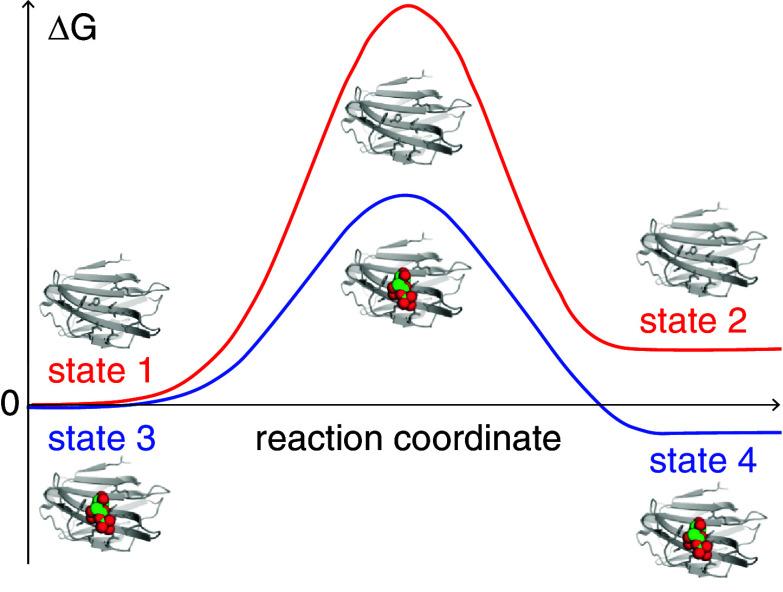 https://cdn.ncbi.nlm.nih.gov/pmc/blobs/196c/10998626/233da853c733/pnas.2317747121fig04.jpg