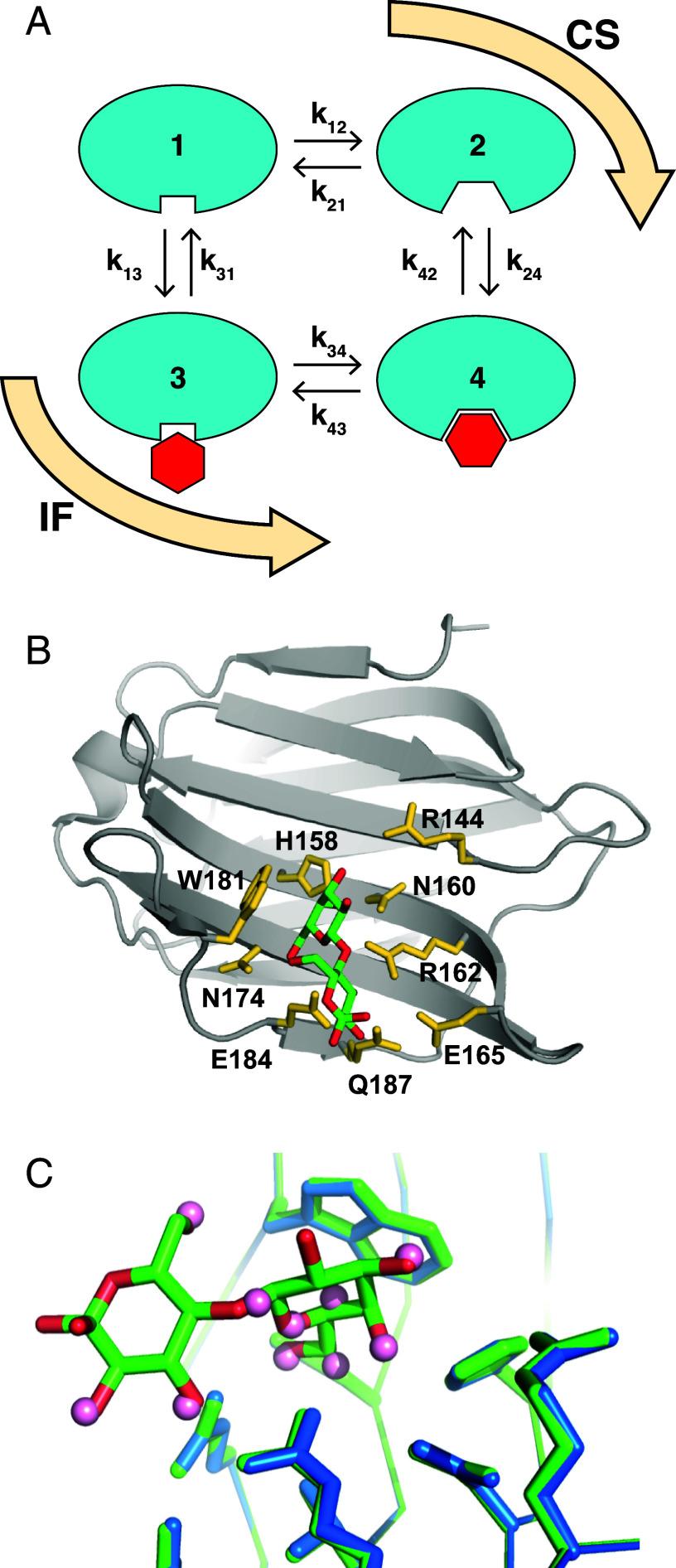 https://cdn.ncbi.nlm.nih.gov/pmc/blobs/196c/10998626/2f257541cf03/pnas.2317747121fig01.jpg