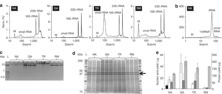 https://cdn.ncbi.nlm.nih.gov/pmc/blobs/196d/3526178/098f92aff21b/ismej201272f4.jpg