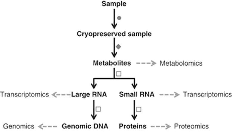 https://cdn.ncbi.nlm.nih.gov/pmc/blobs/196d/3526178/bf04493733b4/ismej201272f1.jpg