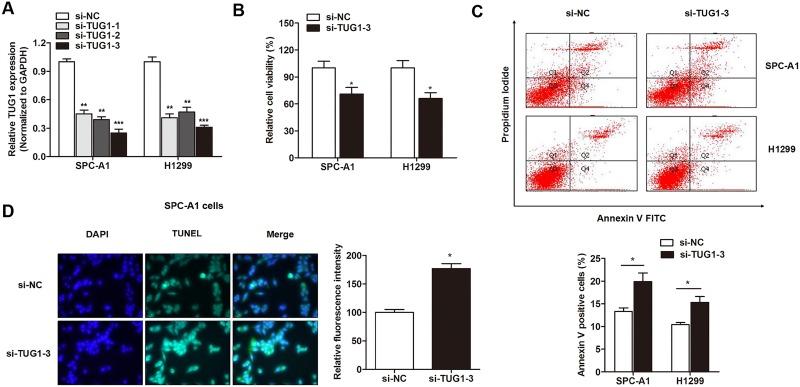 https://cdn.ncbi.nlm.nih.gov/pmc/blobs/196d/5731922/f1046b978305/oncotarget-08-101899-g002.jpg