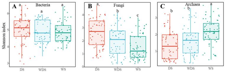 https://cdn.ncbi.nlm.nih.gov/pmc/blobs/196e/11767682/2f645f3b7b2e/microorganisms-13-00154-g002.jpg