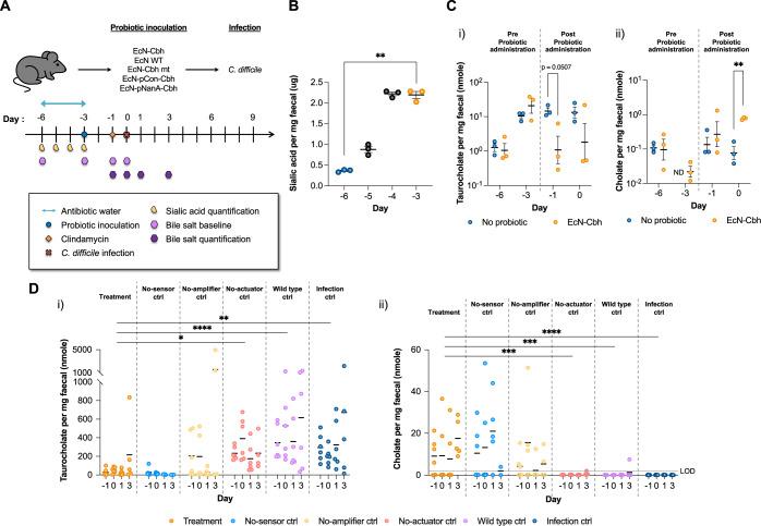 https://cdn.ncbi.nlm.nih.gov/pmc/blobs/196e/9253155/06cb4b13006d/41467_2022_31334_Fig7_HTML.jpg