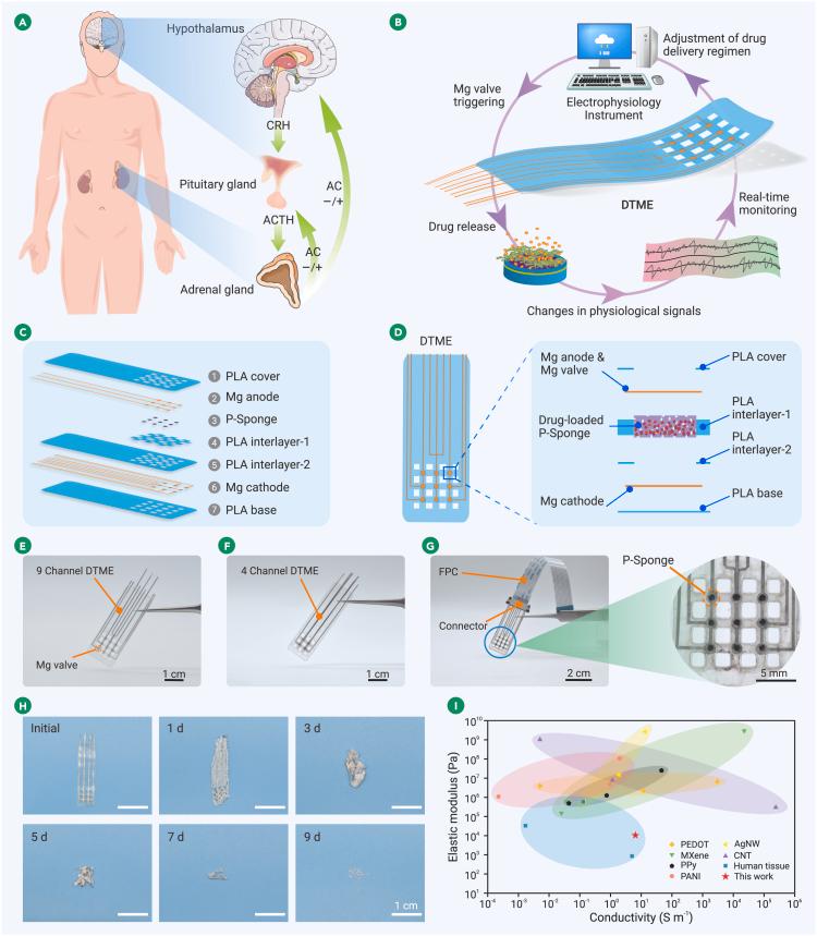 https://cdn.ncbi.nlm.nih.gov/pmc/blobs/196f/11536068/f5be6c5d2b5e/gr1.jpg