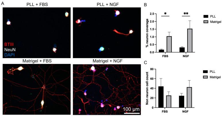 https://cdn.ncbi.nlm.nih.gov/pmc/blobs/1972/10295822/ad05a1bf02f8/biosensors-13-00601-g001.jpg