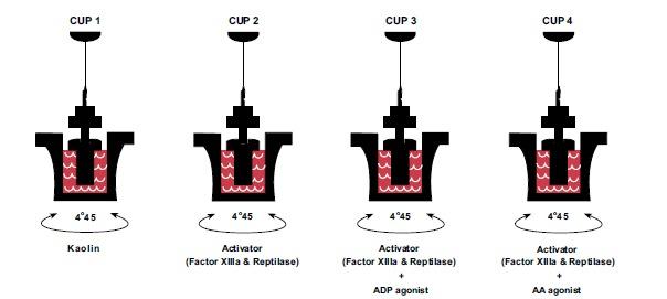https://cdn.ncbi.nlm.nih.gov/pmc/blobs/1973/5374842/4a67084b5490/CDT-17-954_F3.jpg