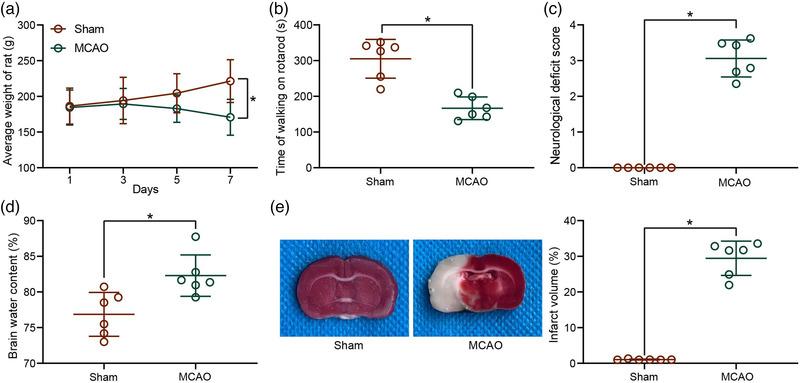 https://cdn.ncbi.nlm.nih.gov/pmc/blobs/1973/9014992/957625ed188b/BRB3-12-e2522-g007.jpg