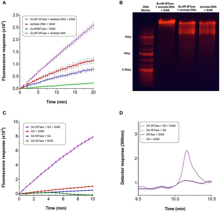 https://cdn.ncbi.nlm.nih.gov/pmc/blobs/1975/6200863/034f1f85fdbd/fbioe-06-00146-g0003.jpg
