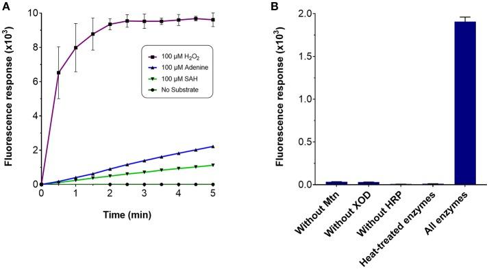 https://cdn.ncbi.nlm.nih.gov/pmc/blobs/1975/6200863/71a1a14d5999/fbioe-06-00146-g0002.jpg