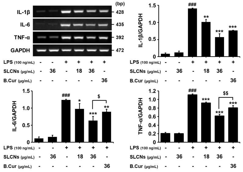 https://cdn.ncbi.nlm.nih.gov/pmc/blobs/1976/6470586/c8d1889647c7/molecules-24-01170-g005.jpg