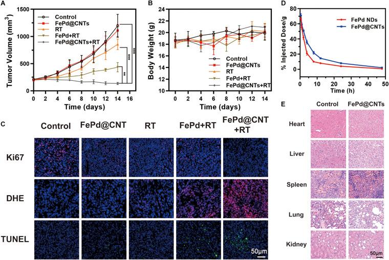 https://cdn.ncbi.nlm.nih.gov/pmc/blobs/1976/8176102/f7d18afb0bbc/fbioe-09-683363-g003.jpg
